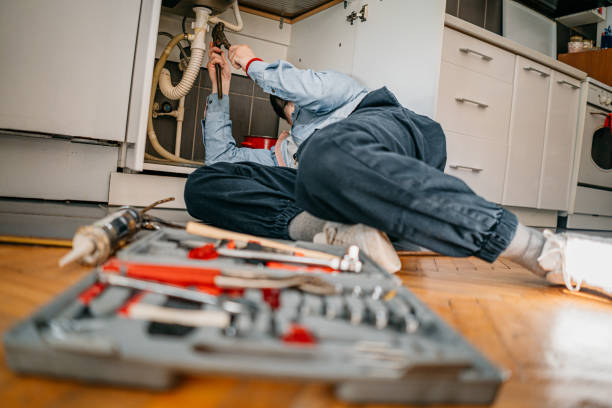 Best Same-Day Plumbing Service  in Algonac, MI