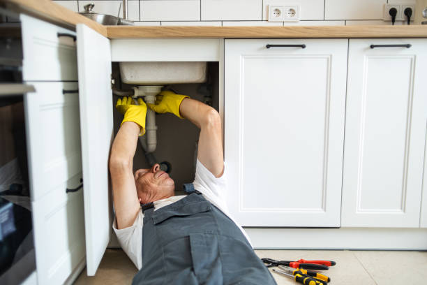 Best Septic Systems  in Algonac, MI