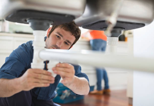 Best Commercial Plumbing Services  in Algonac, MI
