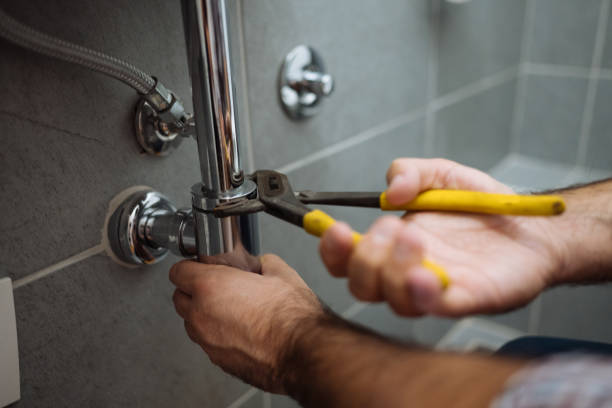 Best Plumbing Inspection Services  in Algonac, MI