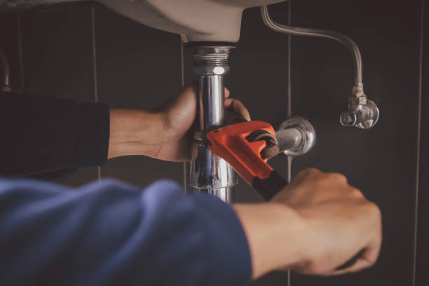 Best Affordable Plumbing Services  in Algonac, MI